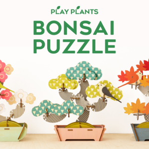 Play Plants Bonsai Puzzles